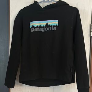 Patagonia Black Hoodie with Vibrant Logo